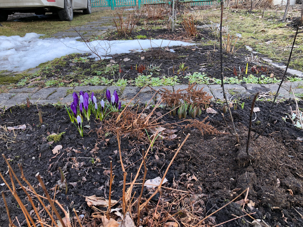 На контрасте.