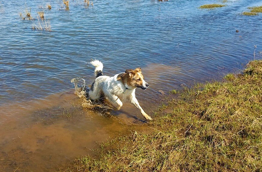 Джесси покоряет водные просторы.