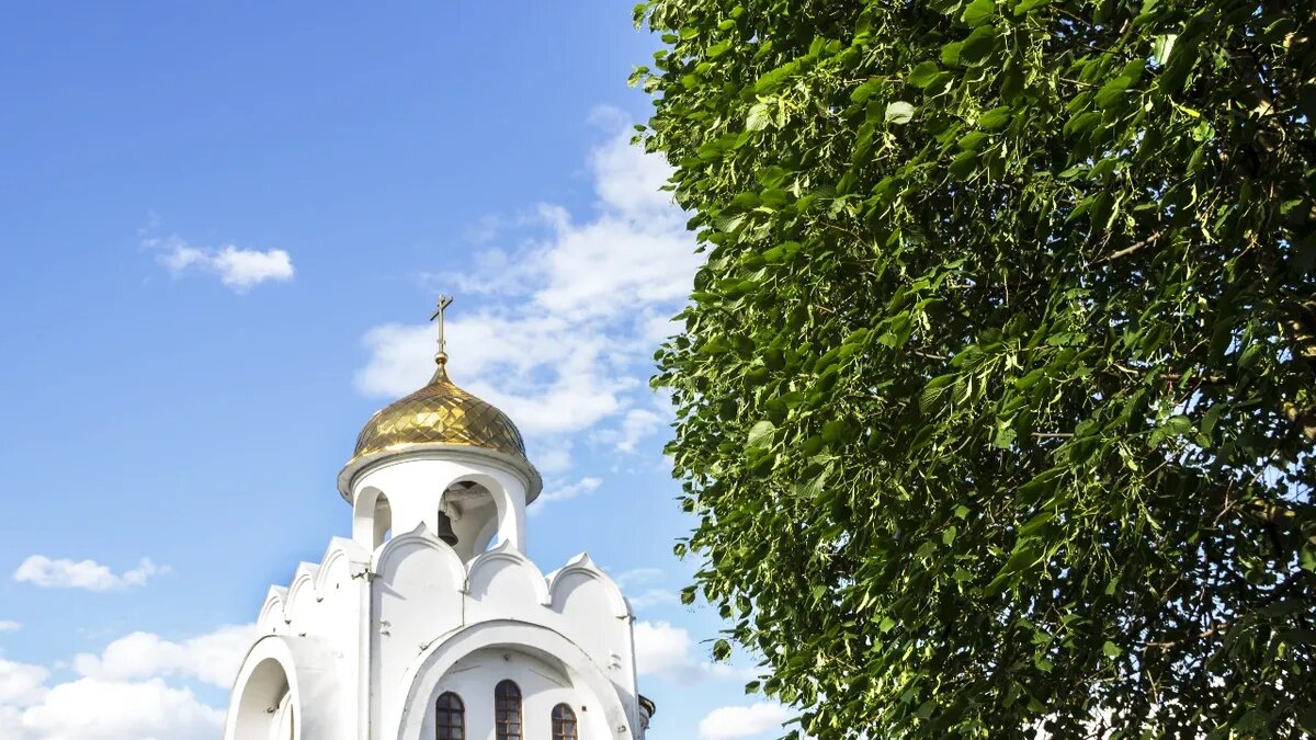 Троицкая седмица начинается после праздника Троицы. Фото: Pxfuel.com