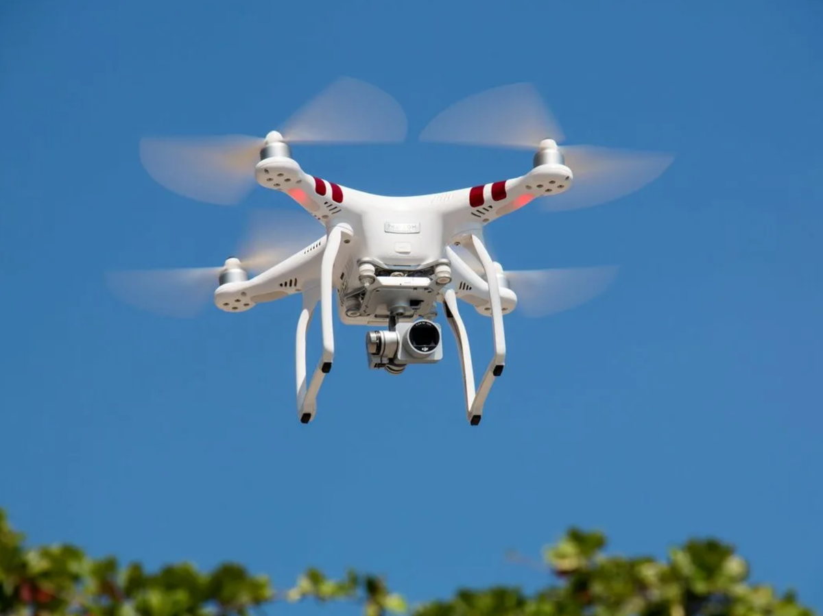 Фото Яндекс.Картинки