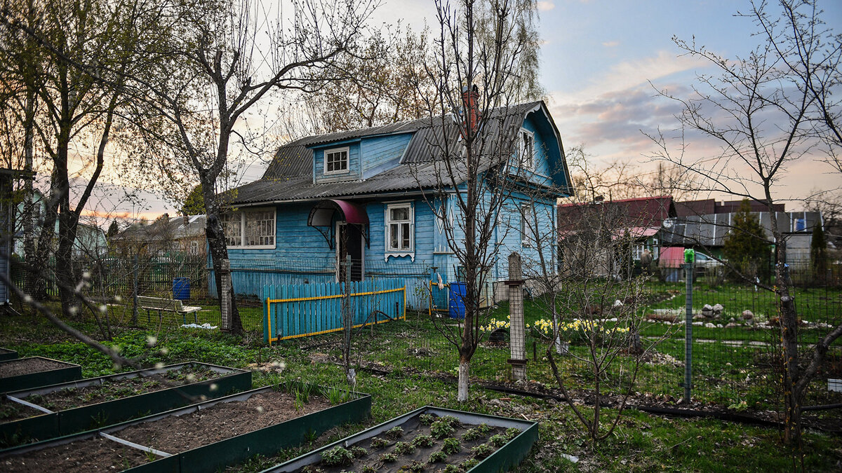    Дачный отдых москвичей© РИА Новости . Владимир Песня