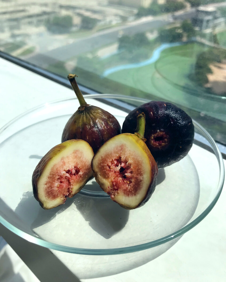 Свежий инжир удивительно нежный на вкус. И совсем не такой приторно-сладкий, как привычный нам сушёный. Фото автора