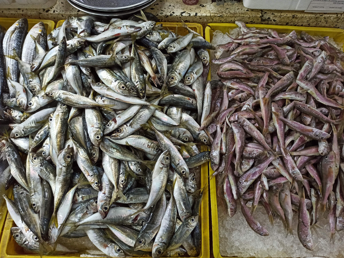 Рыбный рынок в поти. Рыбный рынок в поти. Рыбный рынок батуми. Рынок хопа в турции. Рыба батуми.