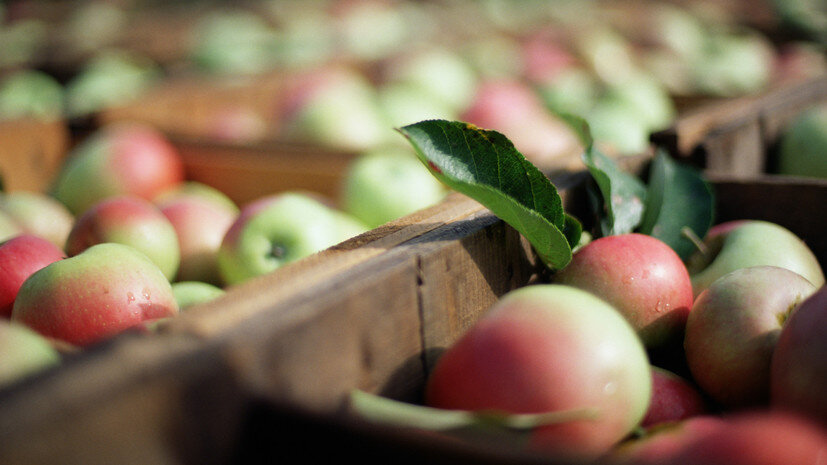   Gettyimages.ru Victoria Pearson