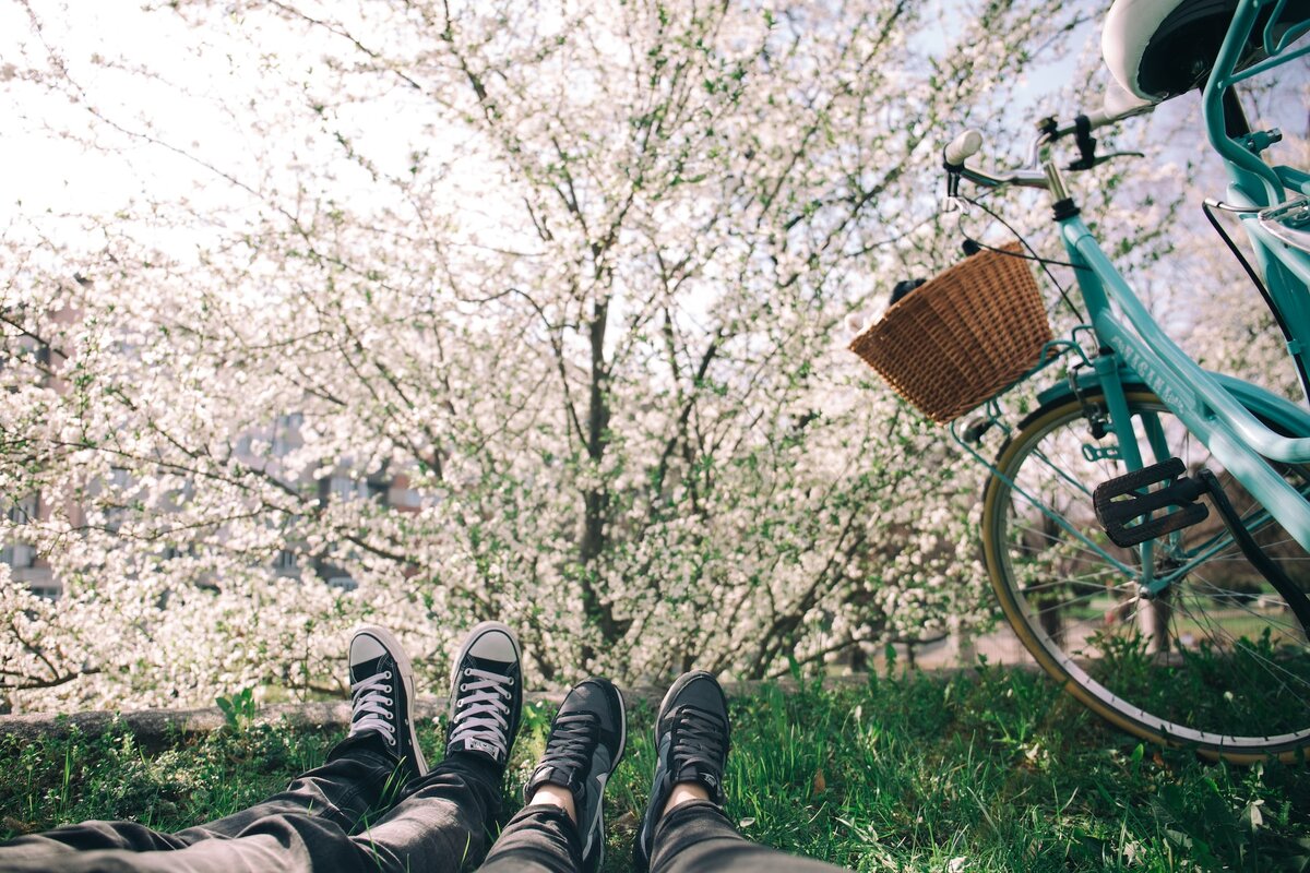   Photo by Alisa Anton on Unsplash