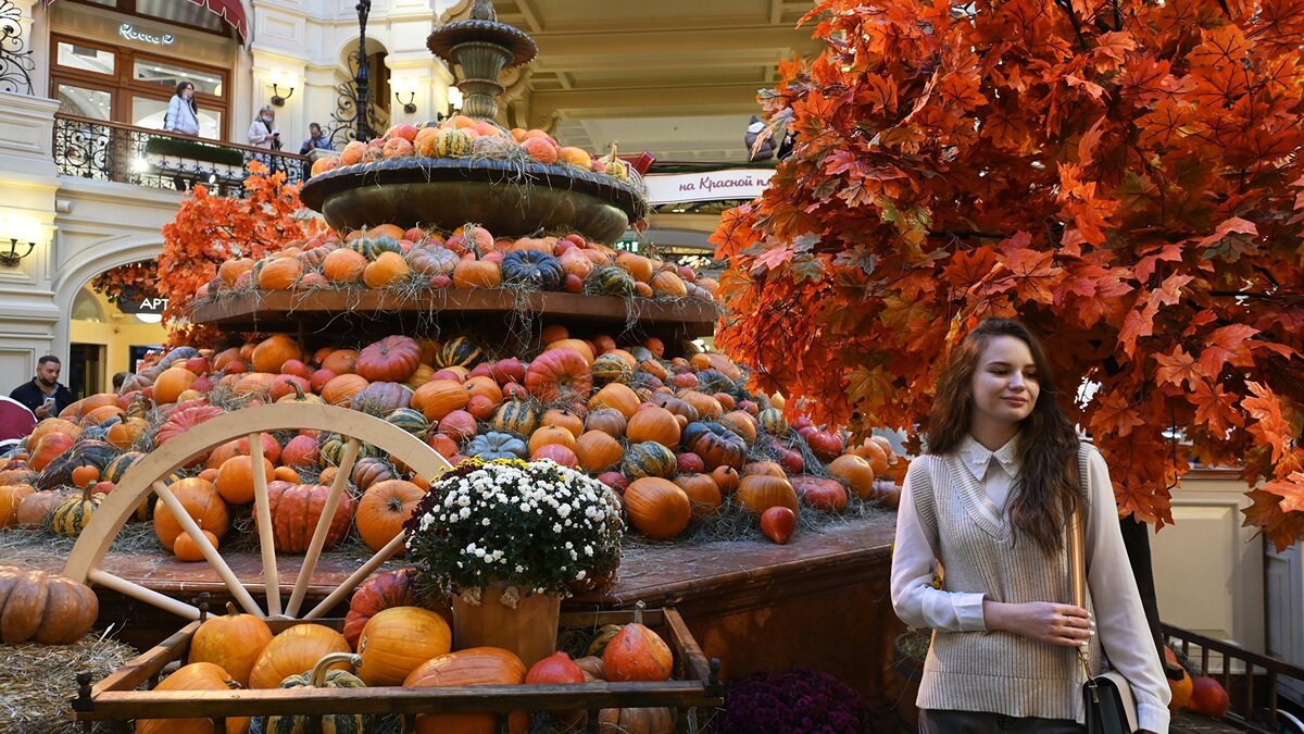    Тыквы© РИА Новости . Максим Блинов
