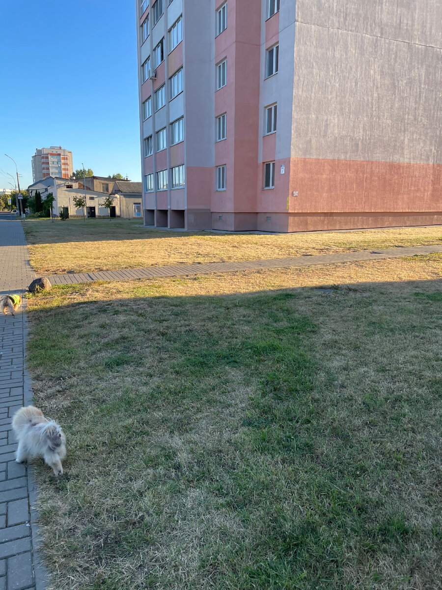 Степка в процессе игры 