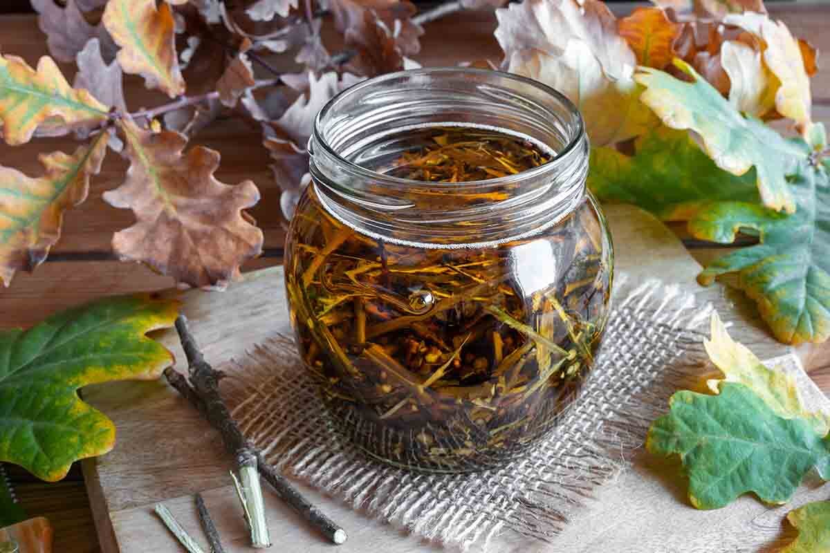 настой коры дуба. дубовый отвар. кора дуба дубильные вещества. отвар коры дуба. кора дуба фитофарм.