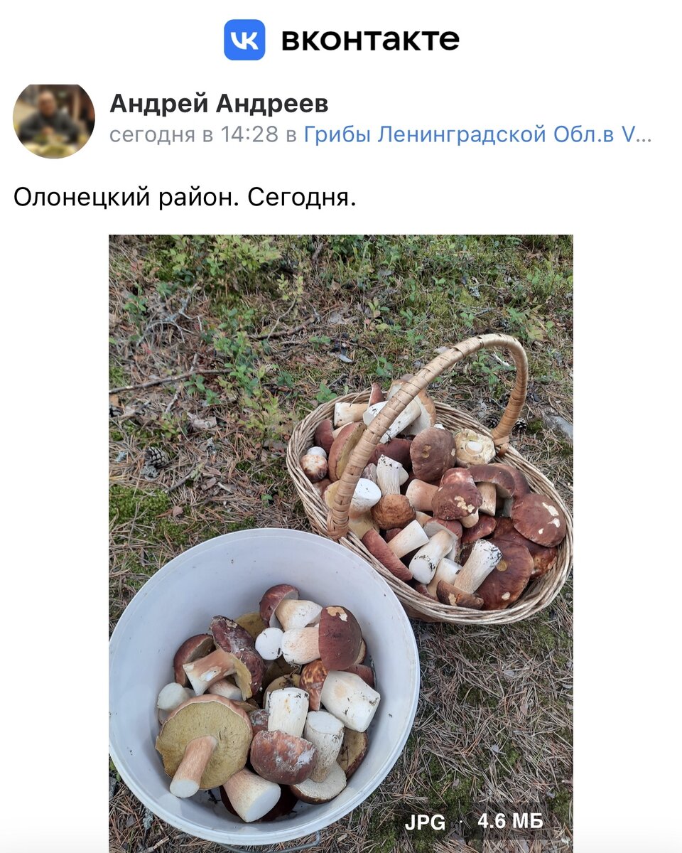 Скрин из ВКонтакте: сбор за 14.09.2022….