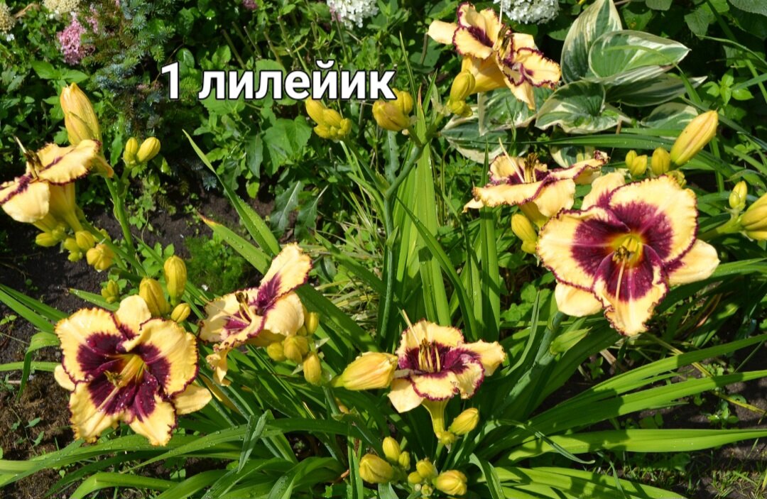 -1-2