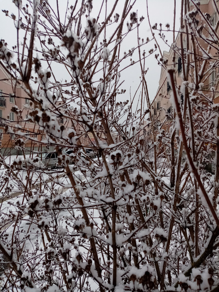 У нас февраль заснеженный 