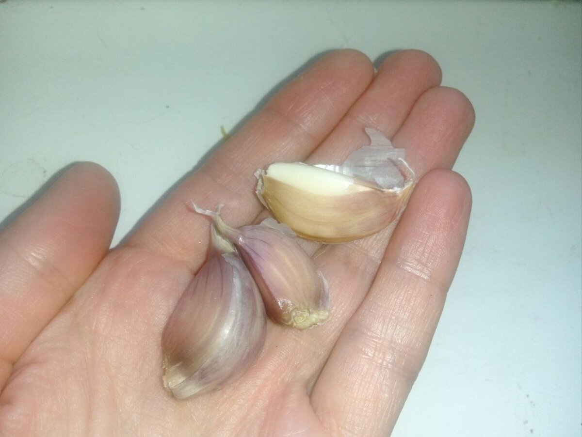 При хранении в косичках, у вас всегда под рукой будут острые зубчики чеснока