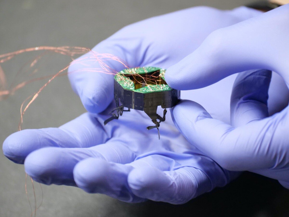    Насекомоподобный робот способен уменьшаться в размерах на 40% [ВИДЕО]