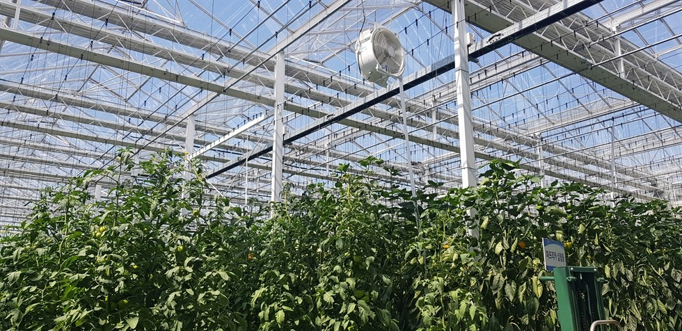 Фото: Корейский институт промышленных технологий