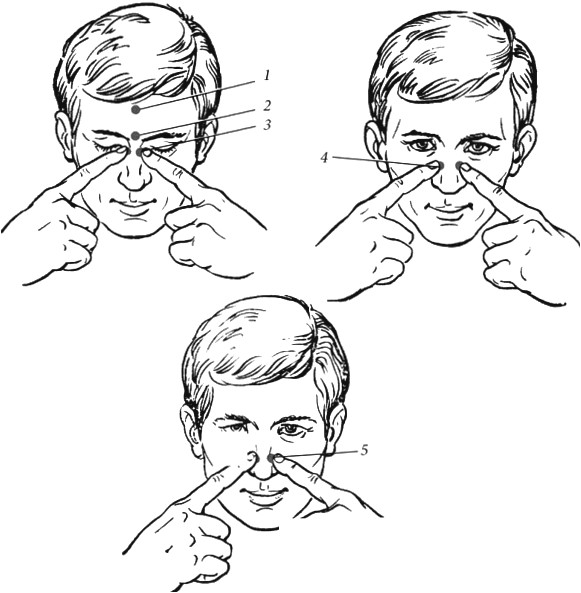 массаж носа чтобы нос дышал. точки при насморке для массажа. биологически активные точки при заложенности носа. точечный самомассаж переносица точка 1. массаж носа при заложенности.