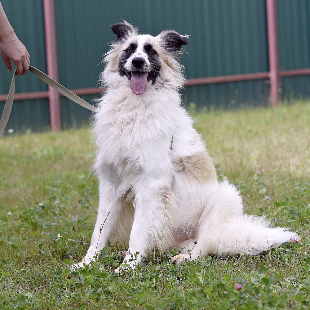 Скажи чем занят ты? Живу! А завтра? Тем же, чем сегодня! Жизнь превращается в канву, а на канве узор восходный.