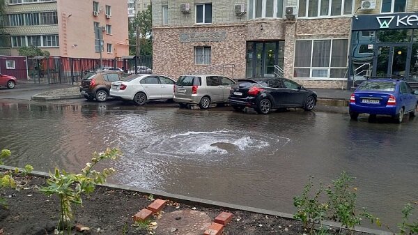Фото: кадр из видео/saratov24.tv