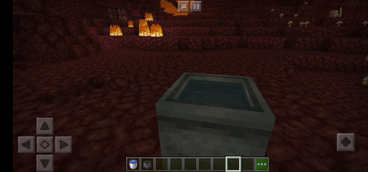 Нормально. Фото автора 