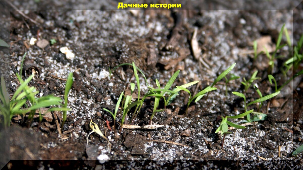 https://vk.com/photo-159774511_457246674