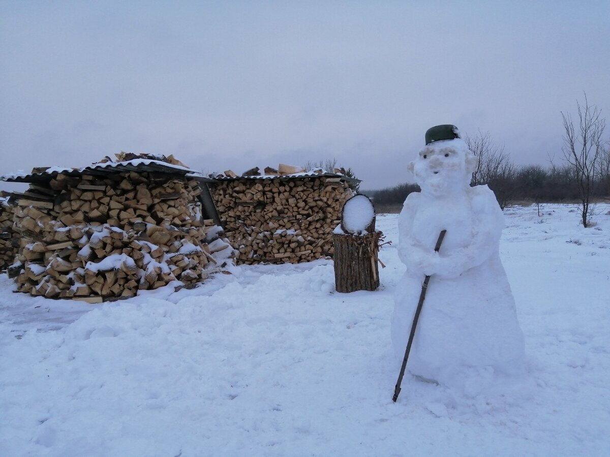 Часть зимует на улице. Фото автора
