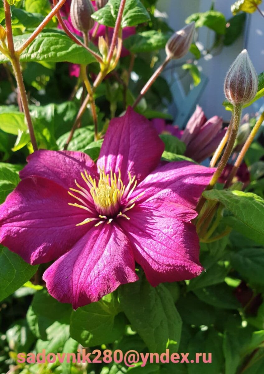 фото автора Алесад