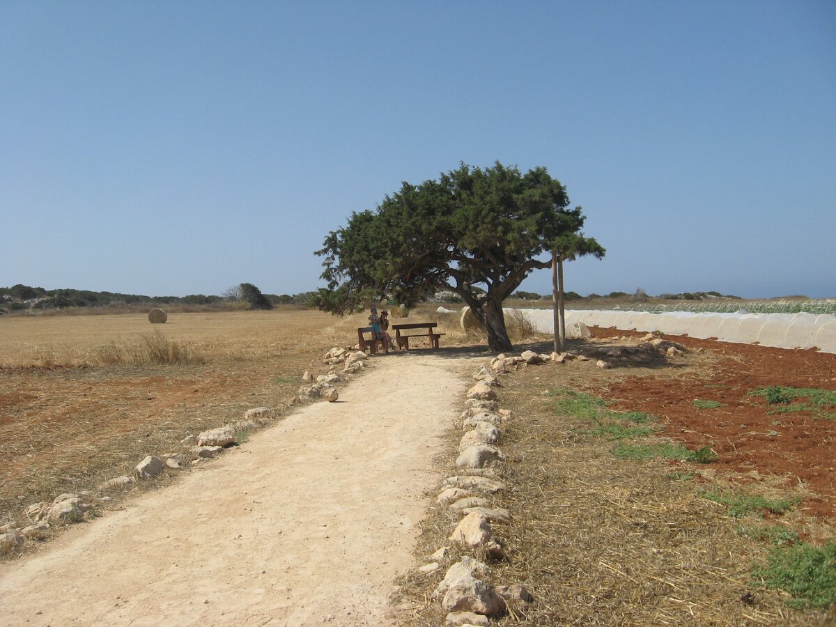 Справа на фото - "медная" кипрская почва. Мыс Каво Греко. Листайте дальше 👉👉👉