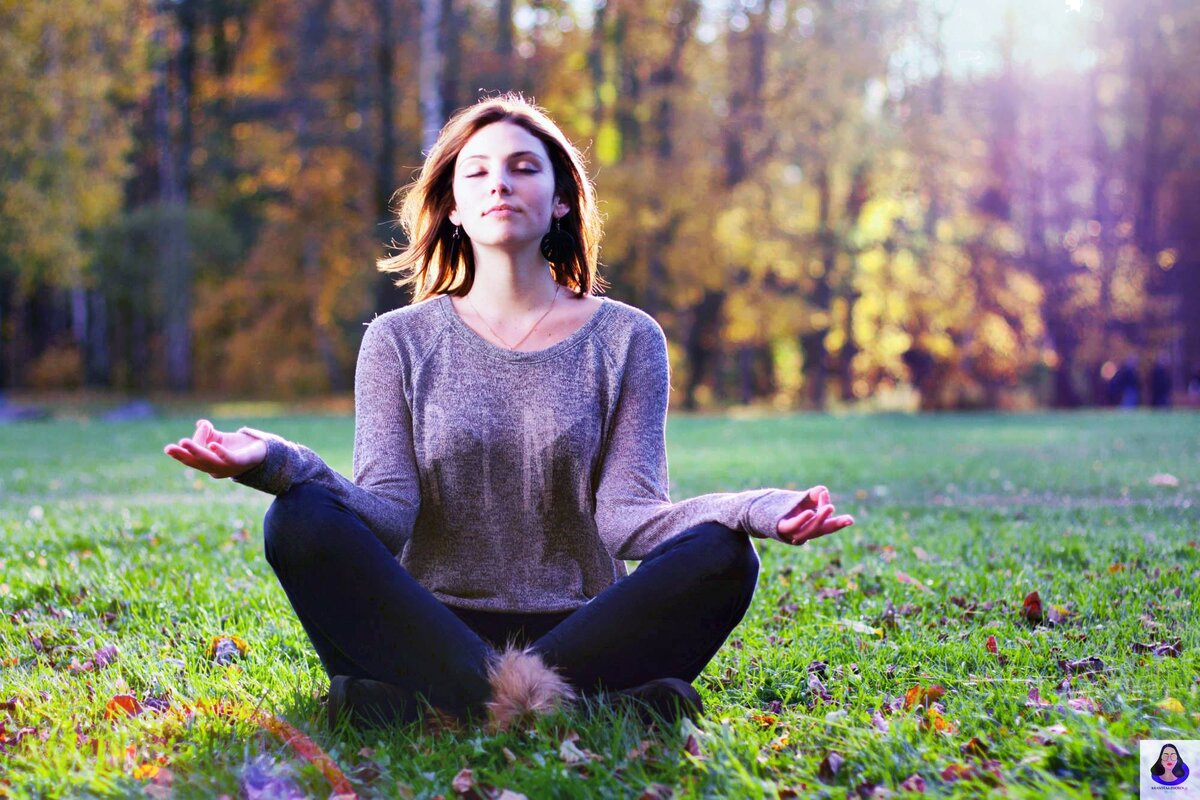 Взято из свободных источников Яндекс.