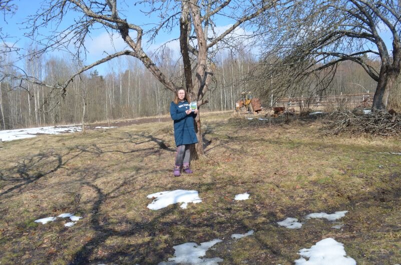 Конец марта, а снег еще лежит в саду. Поздняя весна в Псковской области.