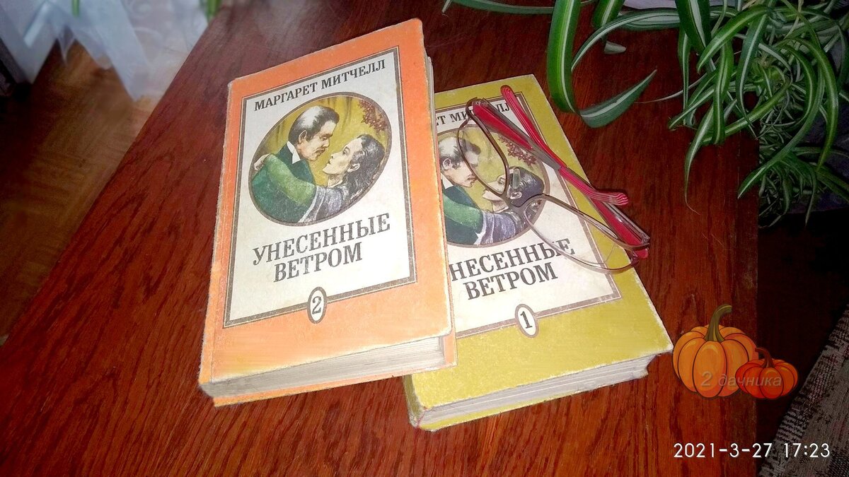 Унесенные ветром, книги из нашей домашней библиотеки. Читала запоем.