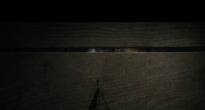 кадр из фильма