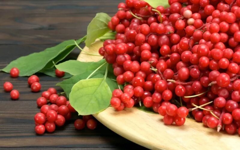 Фото взято из интернета