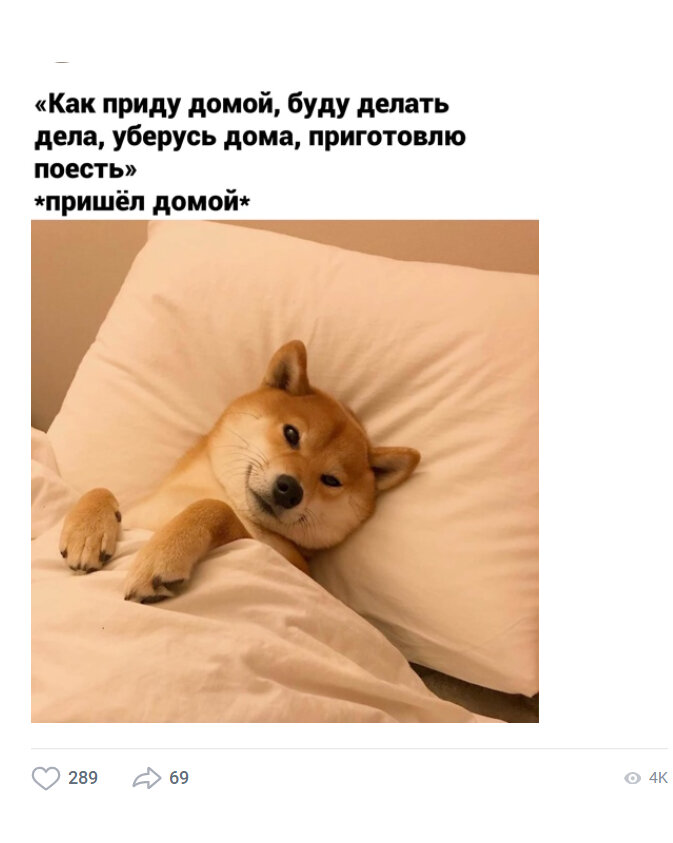 Когда продуктивность на нуле , и  всё что ты хочешь - обнять подушку с одеялом.