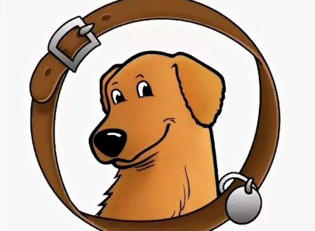 Ну что, ты умеешь ходить рядом, лежать рядом со мной и приносить мне косточку?) Нет?))) Тогда поехали на дрессировку, я тебя научу!)))