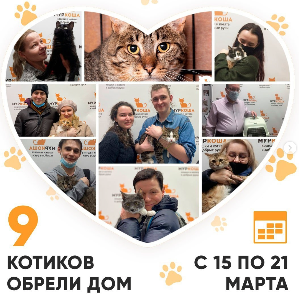 Главное, что объединяет приюты и котокафе - общая цель.