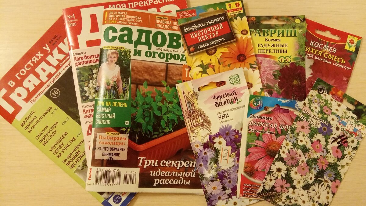 Не могу не купить мои любимые журналы , а уж про семена цветов и говорить нечего