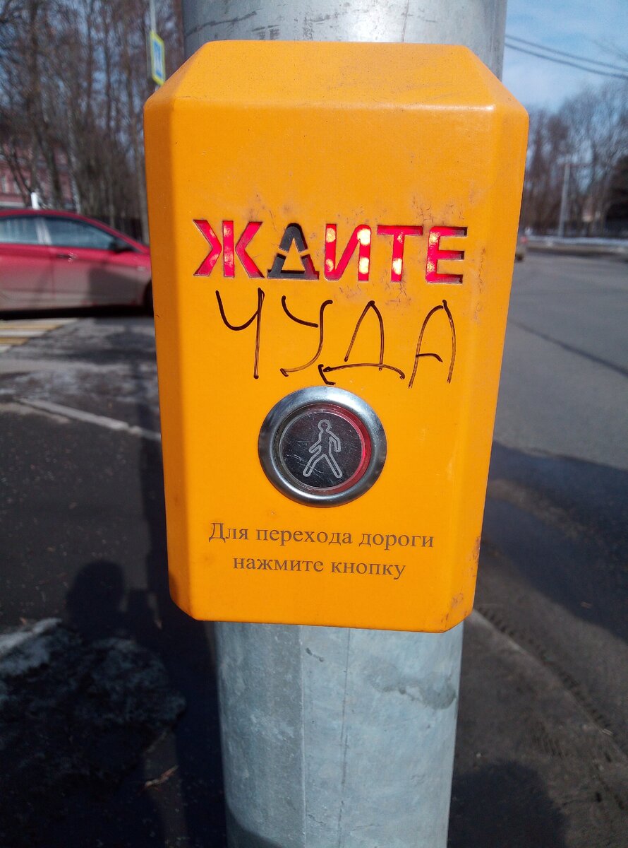 Фото из личного архива.