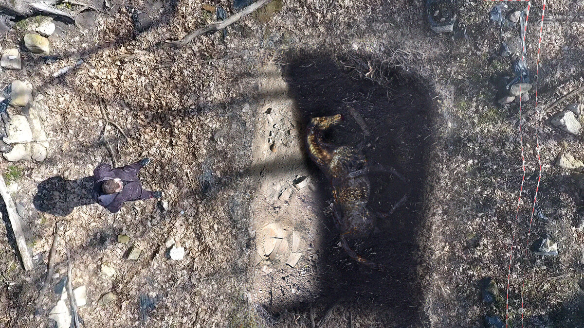 Золотая лошадь найденная в анапе. Анапа золотой конь митридата. Золотой конь митридата. Найден золотой конь. Найден золотой конь.