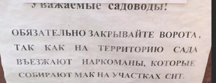 Они прямо въезжают... самосвалами мак вывозят, видимо :-) (Фото с просторов интернета)