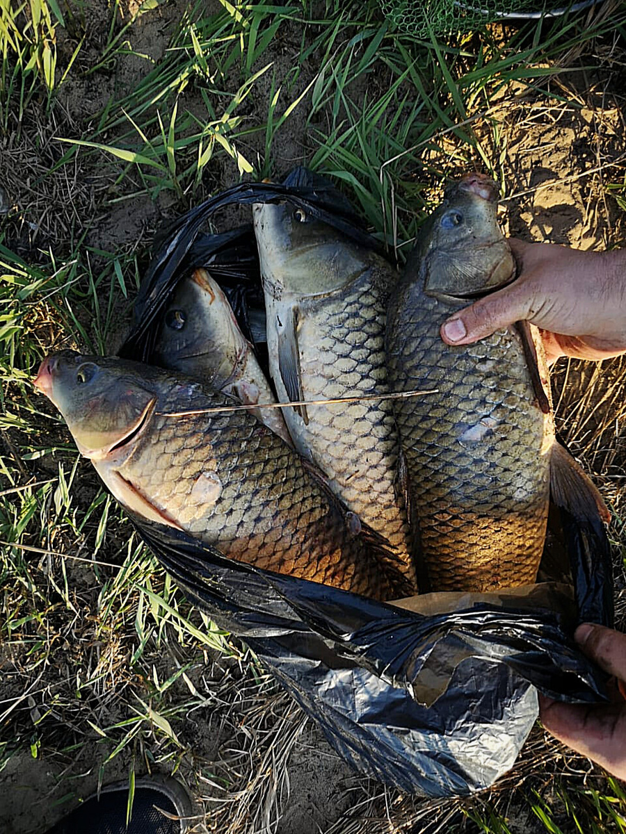 Улов/ Фото из личного архива 