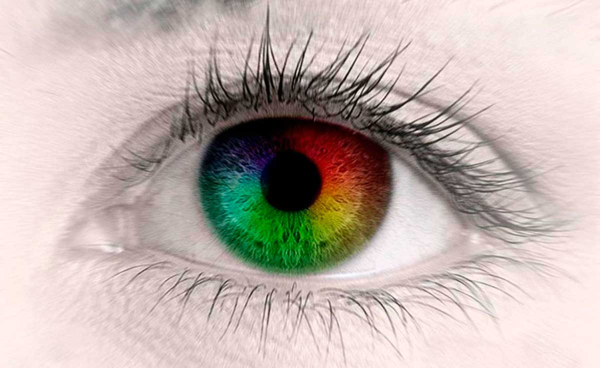 Каждый видит по-своему