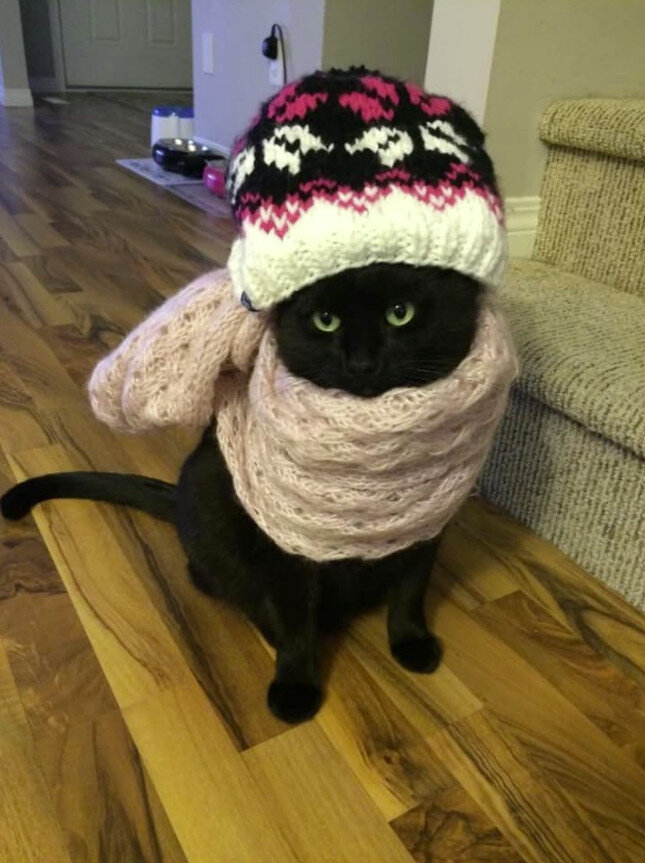 Источник: pinterest.com