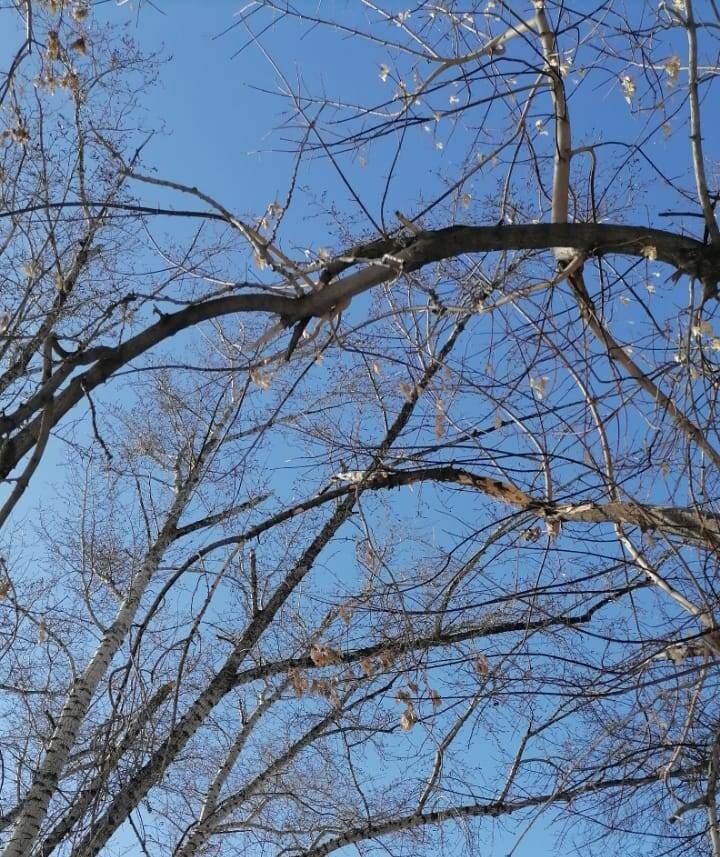 фото из личного архива.
