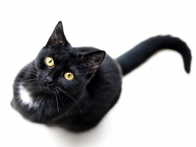 Негативные чувства всегда надуманные! То есть, это производное Ума. Значит, их не должно быть!