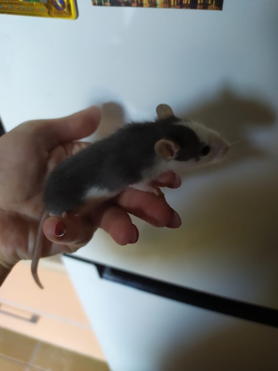 В день знакомства