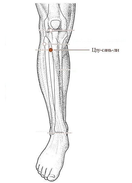 Фото из открытого источника
