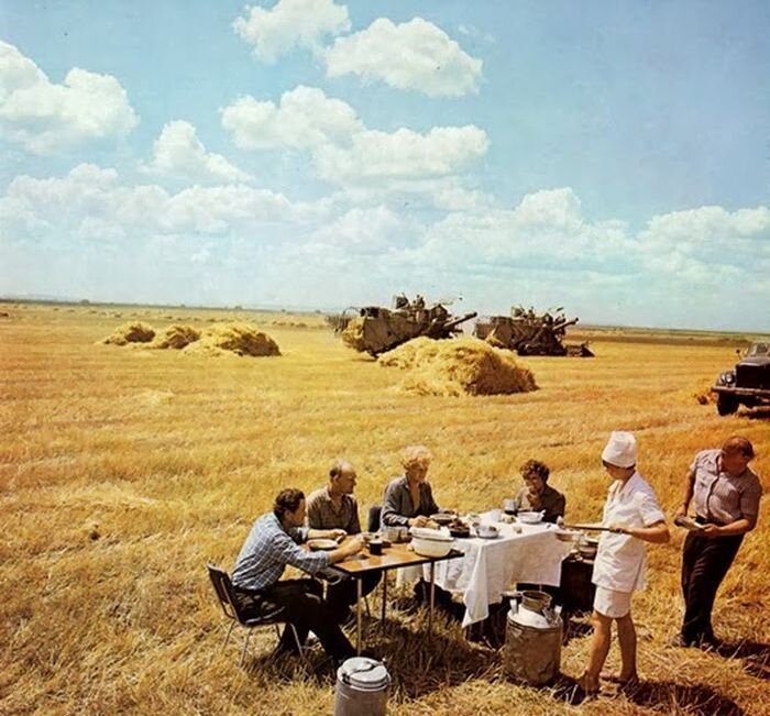 Обеденный перерыв в поле! 