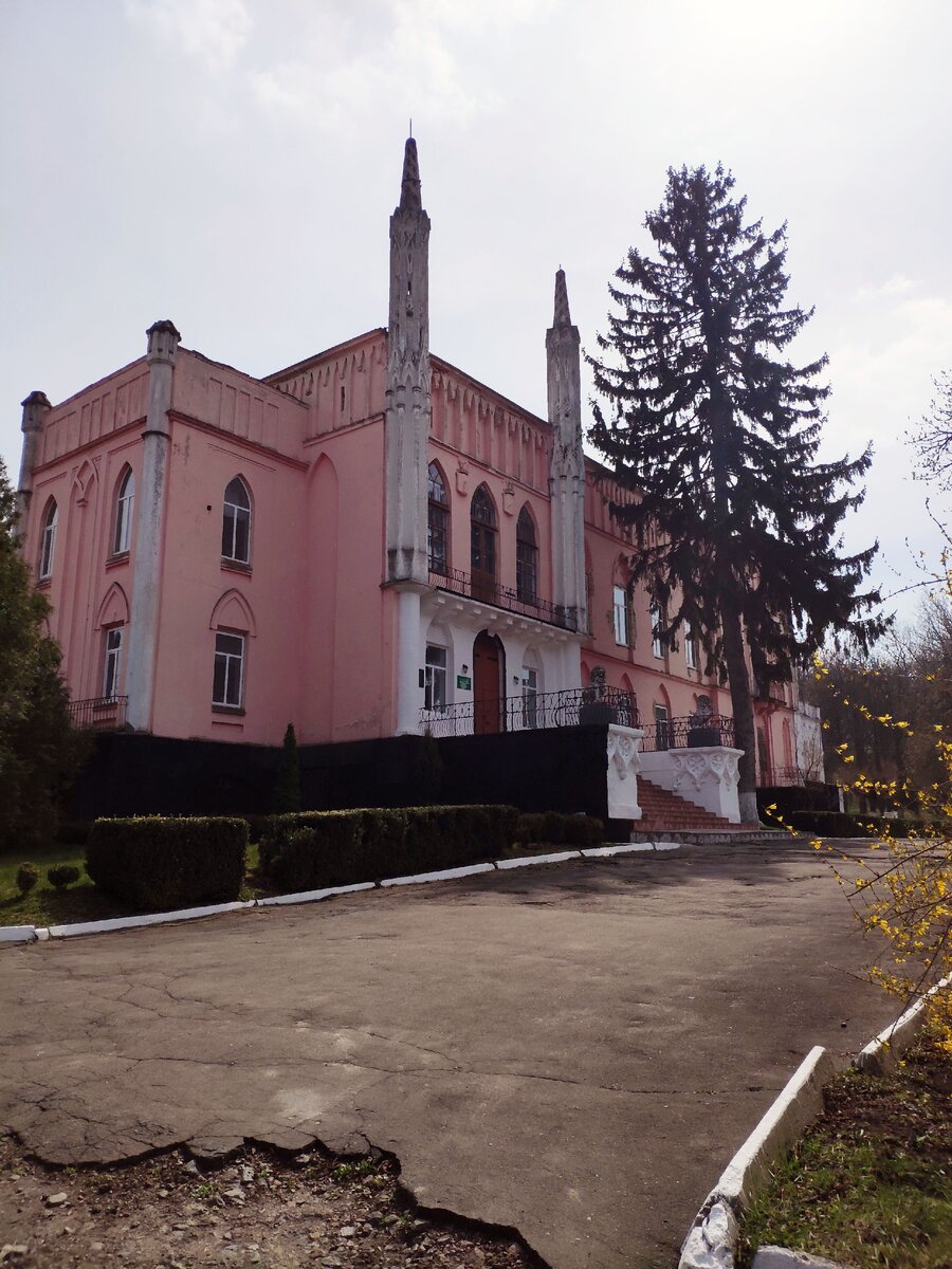 Дворец Витославских - Дамбовских в Чернятине. Снимок 2019г.