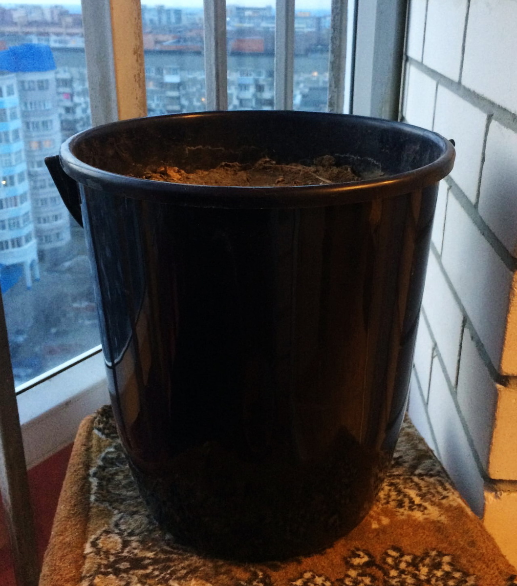 личное фото