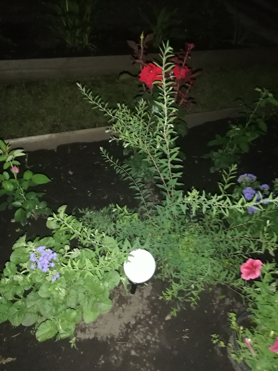 Это она же, но помладше, ей два года