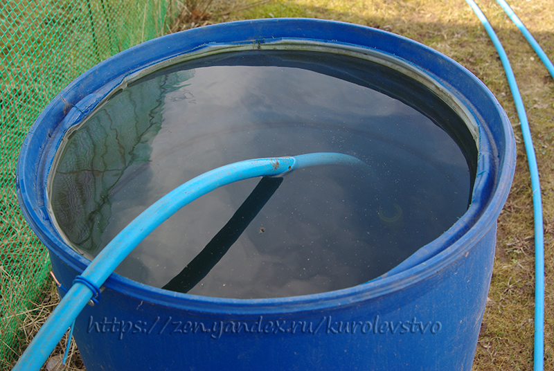 Дождевая вода. Но она оказалась грязная и вмиг забила фильтр мойки